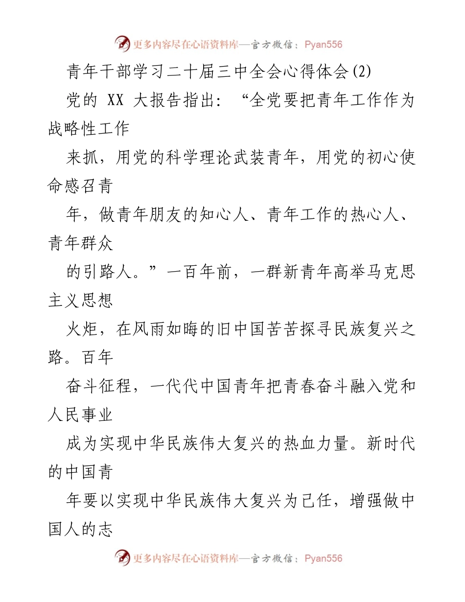 [发言] 青年干部学习活动 - 青年干部在新时代的使命与责任.docx_第1页