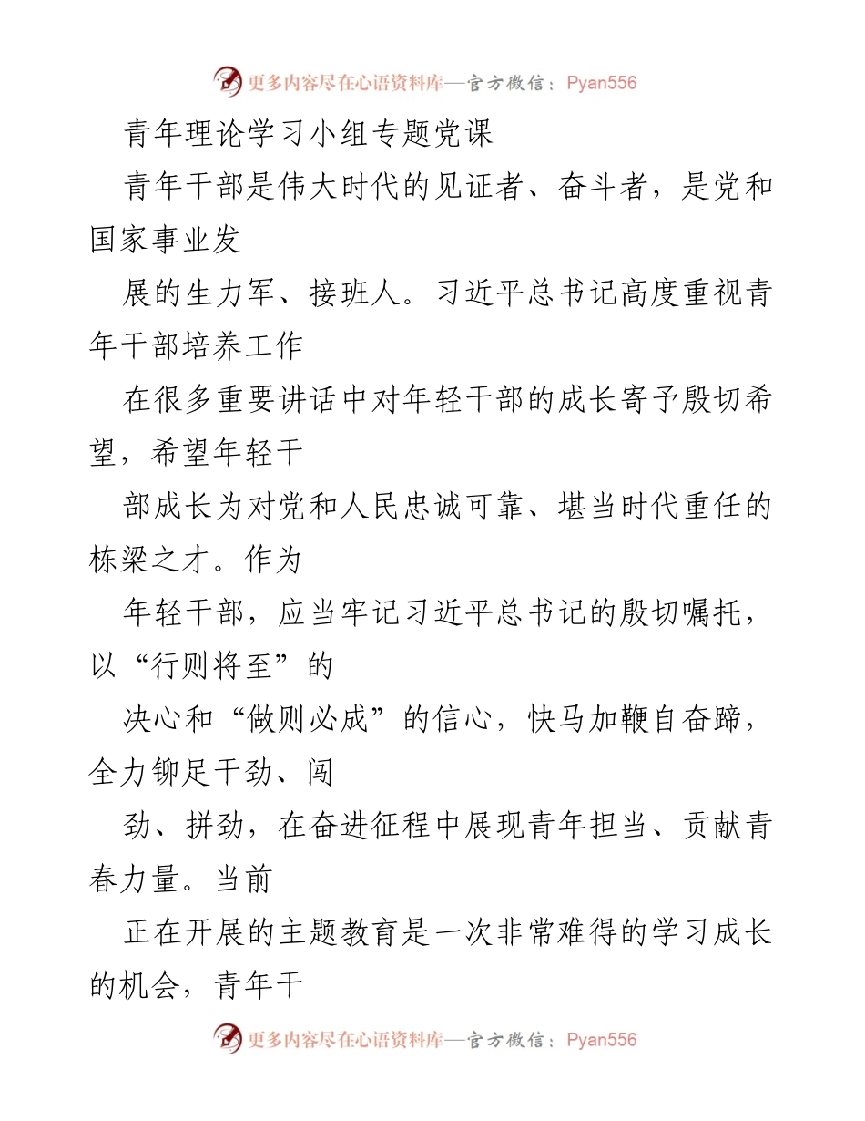 [发言] 青年干部理论学习 - 青年干部的忠诚担当与成长路径.docx_第1页