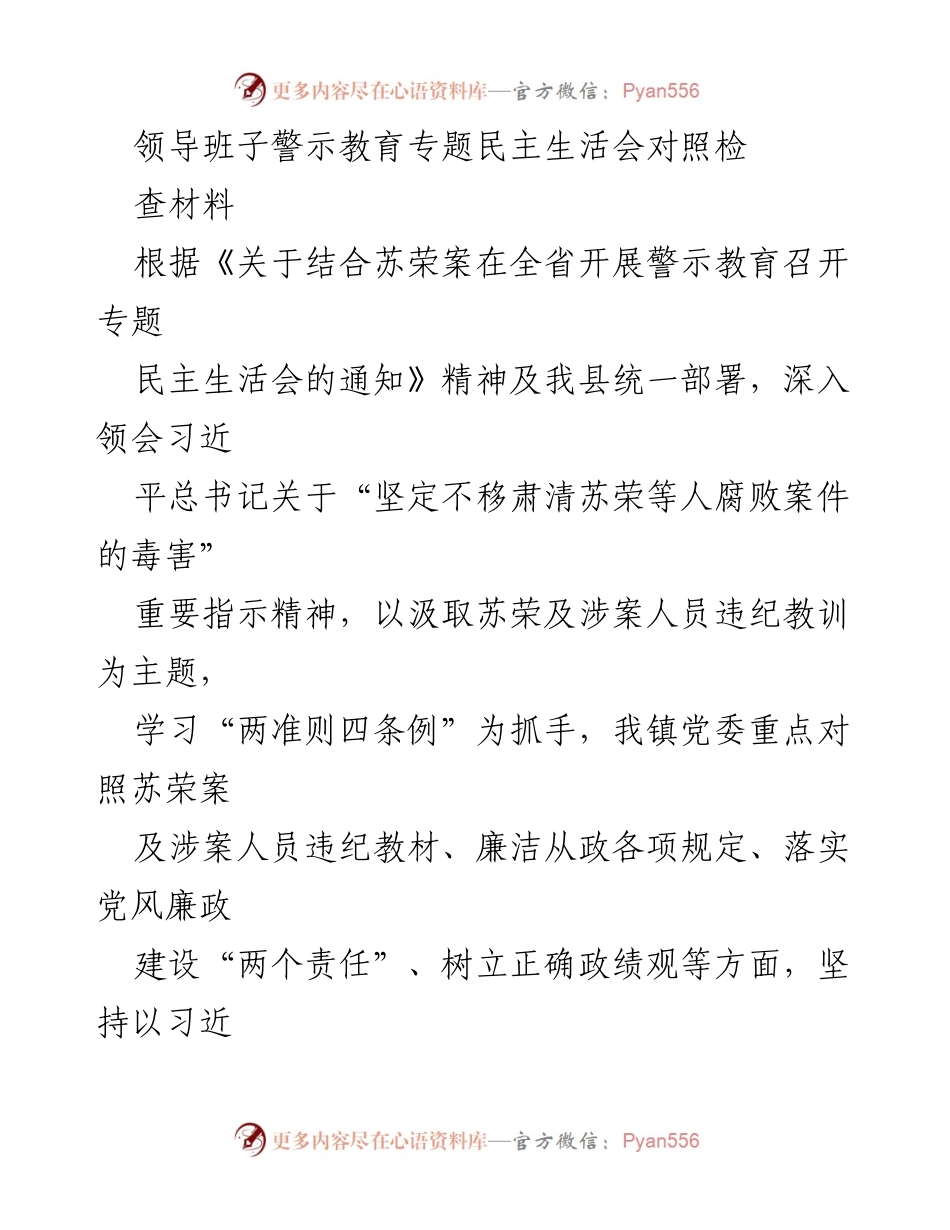 [发言] 领导班子警示教育专题民主生活会 - 深入剖析苏荣案教训，强化政治纪律与组织生活.docx_第1页