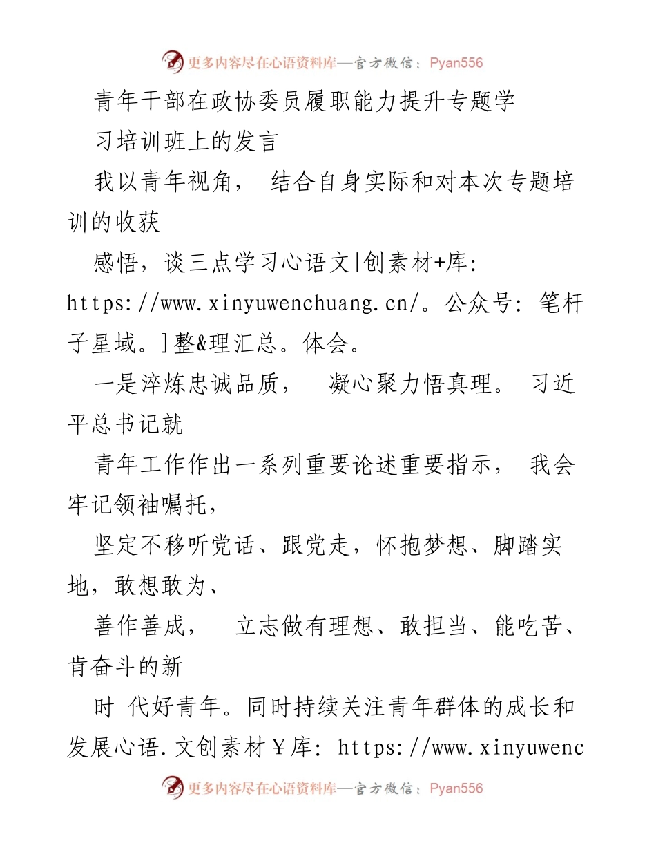 [发言] 青年干部培训班 - 青年视角下的履职能力提升与担当.docx_第1页