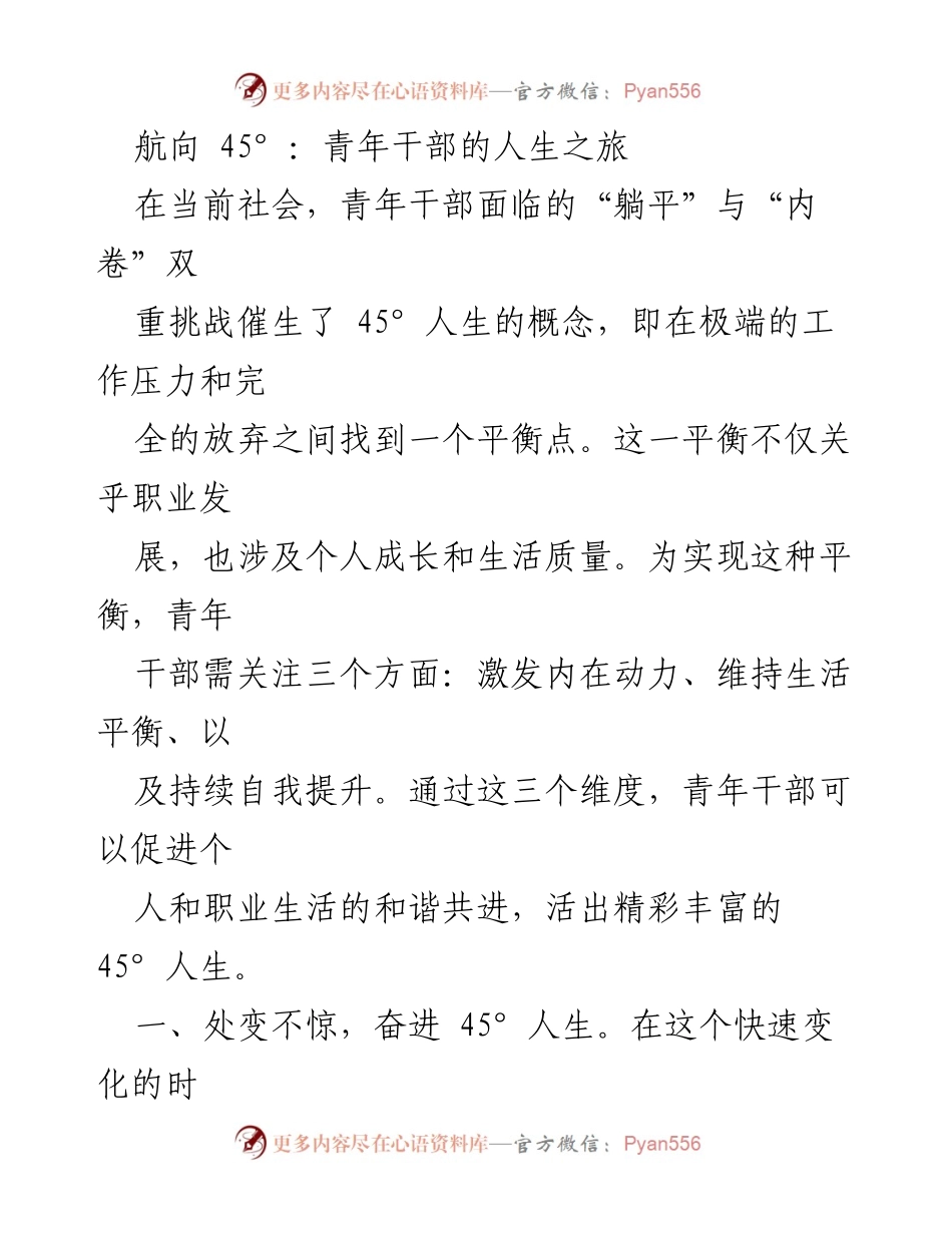 [发言] 青年干部培训会议 - 追寻45°人生：青年干部的成长与挑战.docx_第1页