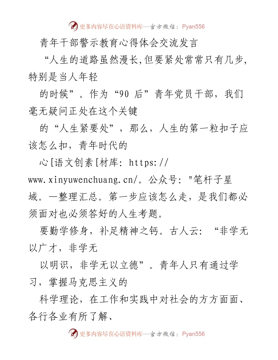 [发言] 青年干部警示教育 - 青年干部的廉洁从政意识与成长路径.docx_第1页