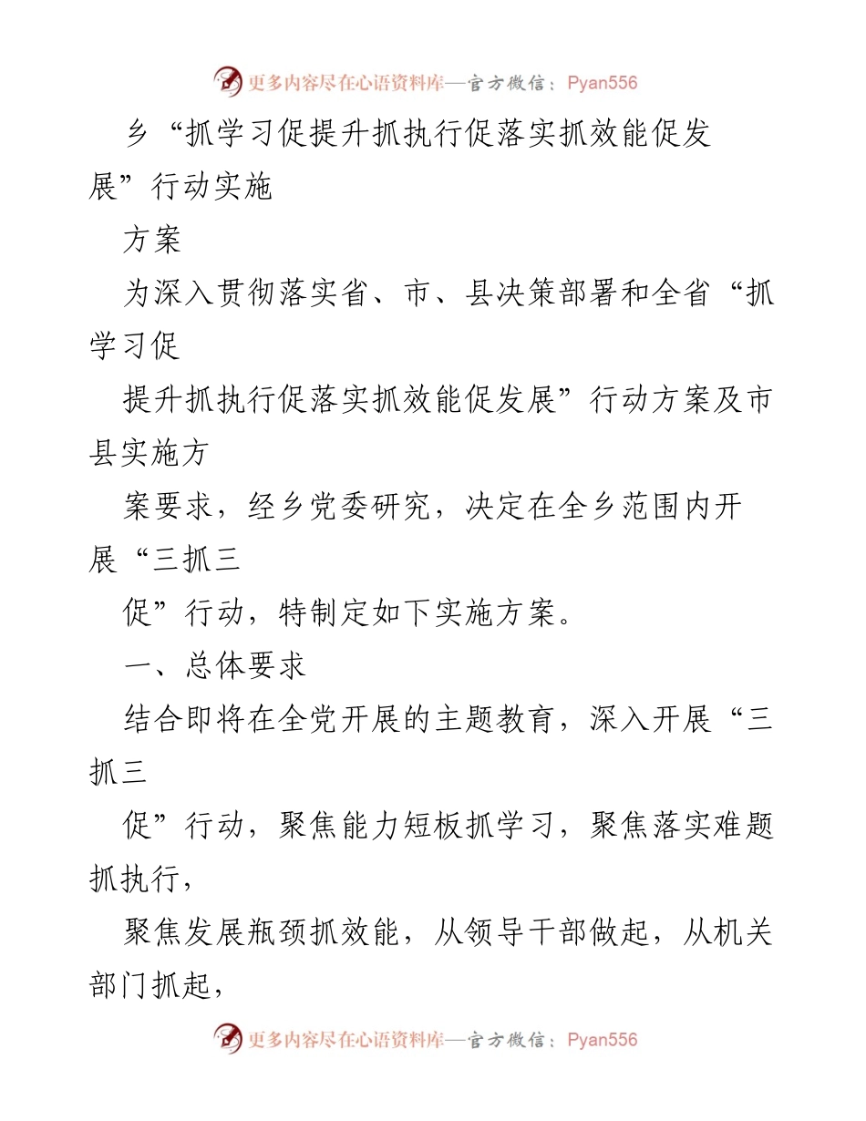 [实施方案] 乡党委会议 - _三抓三促_行动实施方案概述.docx_第1页