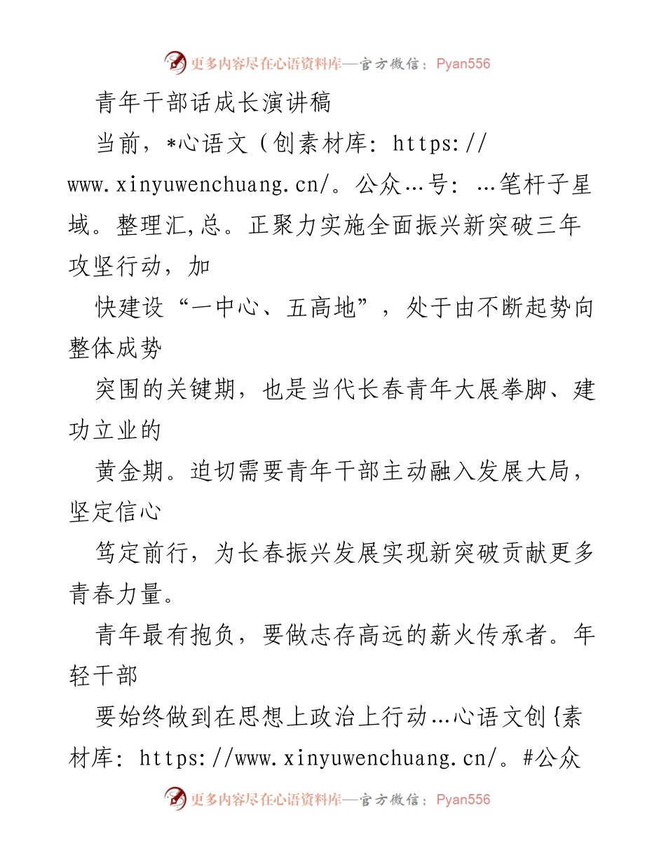 [发言] 青年干部成长交流会 - 青年干部：为长春振兴发展贡献青春力量.docx_第1页