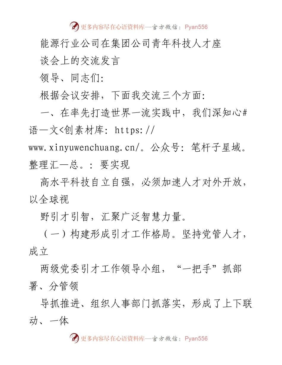 [发言] 青年科技人才座谈会 - 加速引才与自主培养，推动能源行业高质量发展.docx_第1页