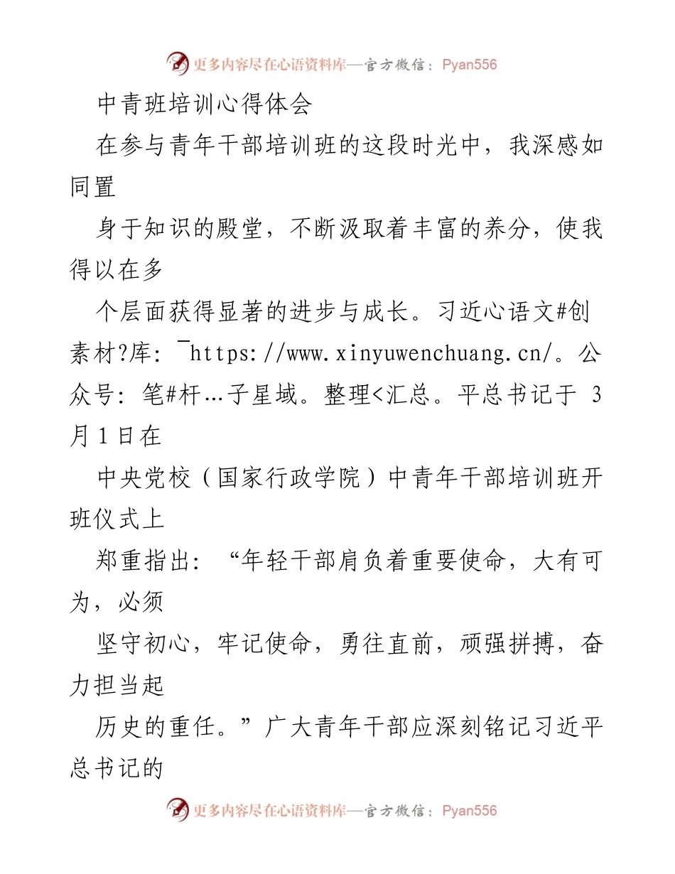 [发言] 青年干部培训班 - 青年干部的使命与担当.docx_第1页