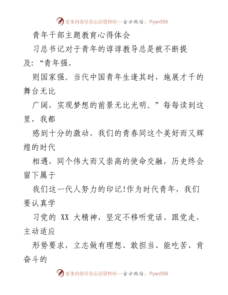 [发言] 青年干部主题教育活动 - 青年干部坚定理想信念，勇做时代先锋.docx_第1页