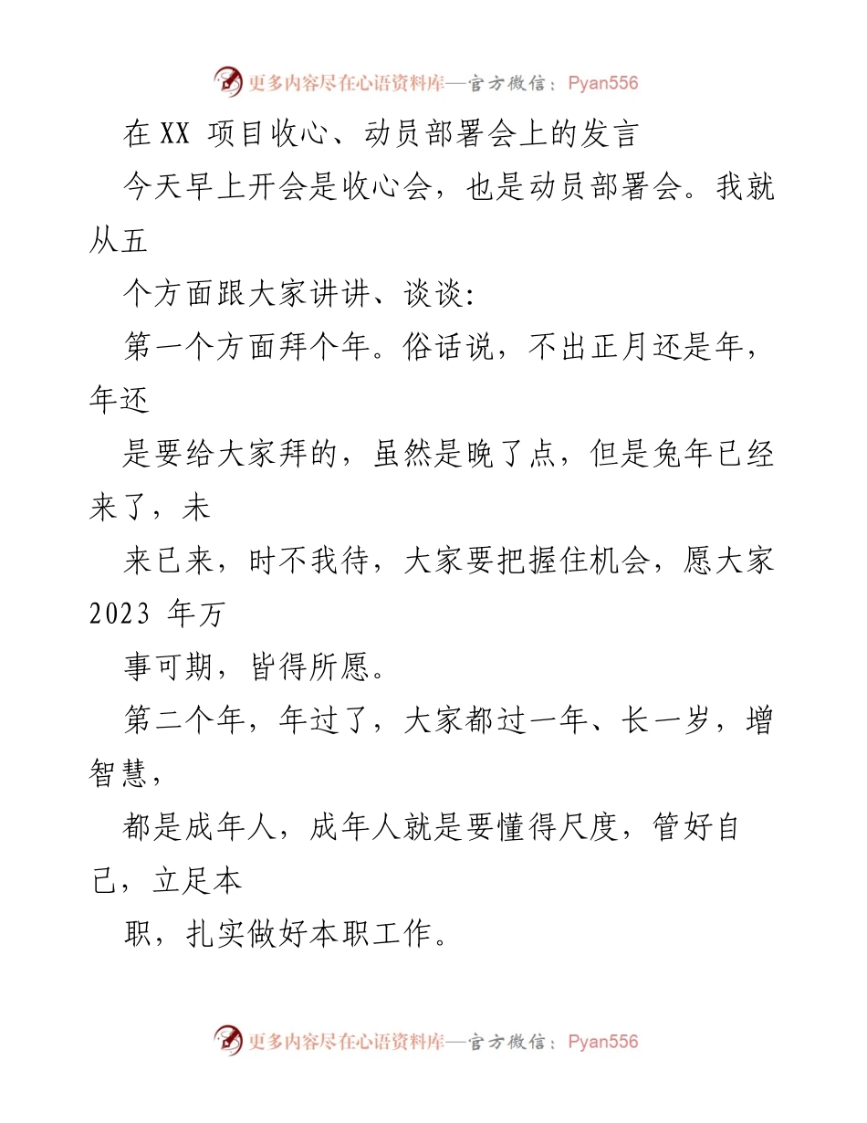 [发言] 项目收心、动员部署会 - 把握机会，共创2023年辉煌.docx_第1页