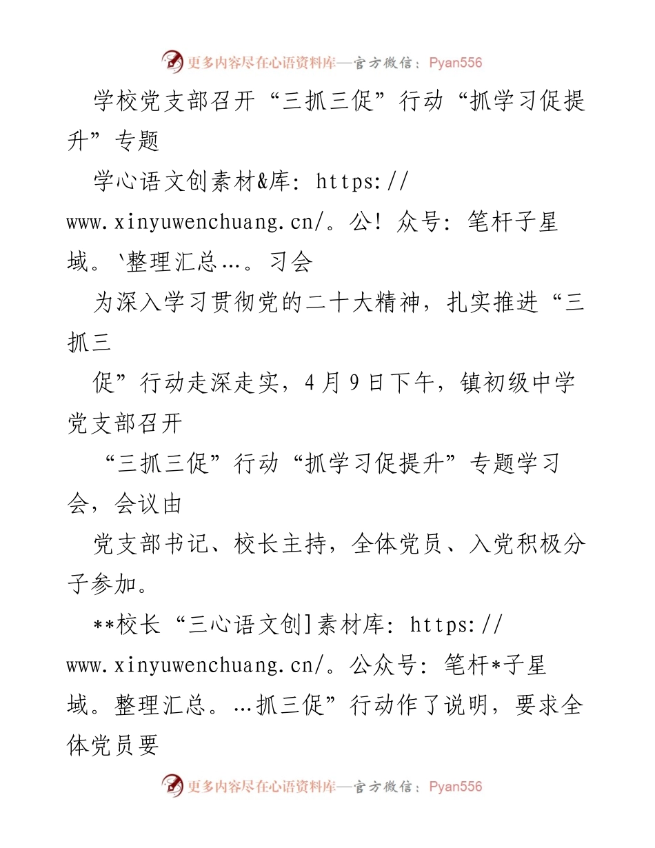 [学习会] 学校党支部 - 深入推进“三抓三促”行动的学习与提升.docx_第1页