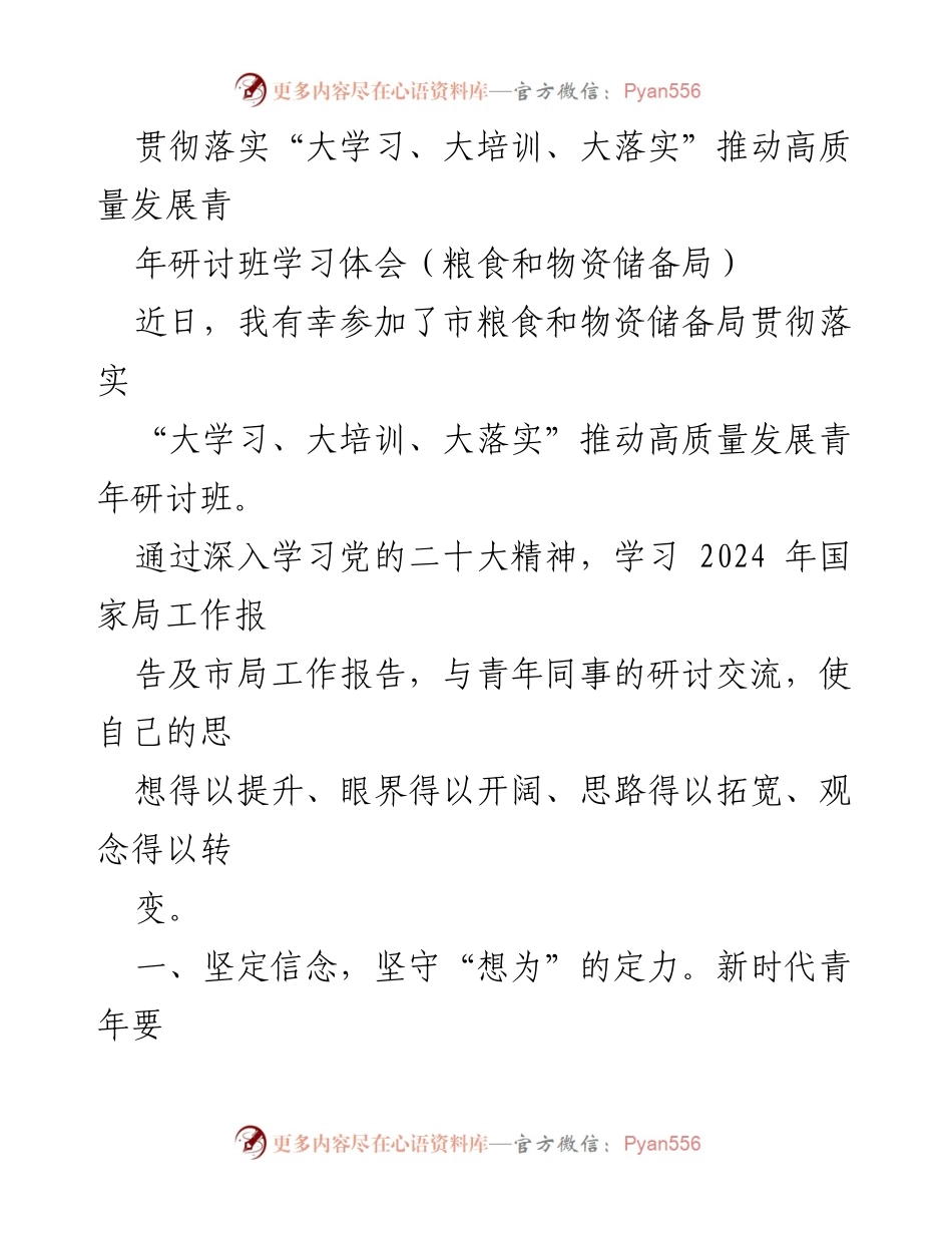 [发言] 青年研讨班 - 深化学习，提升能力，坚守底线：新时代青年在高质量发展中的使命与担当.docx_第1页