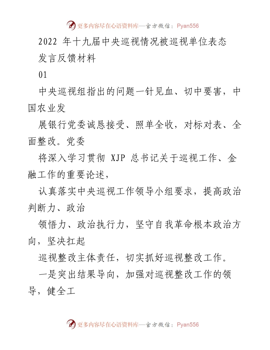 [发言反馈材料] 中央巡视整改 - 中央巡视整改工作表态与落实措施.docx_第1页