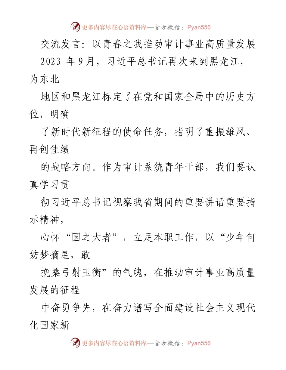 [发言] 青年干部交流会 - 以青春之我推动审计事业高质量发展.docx_第1页
