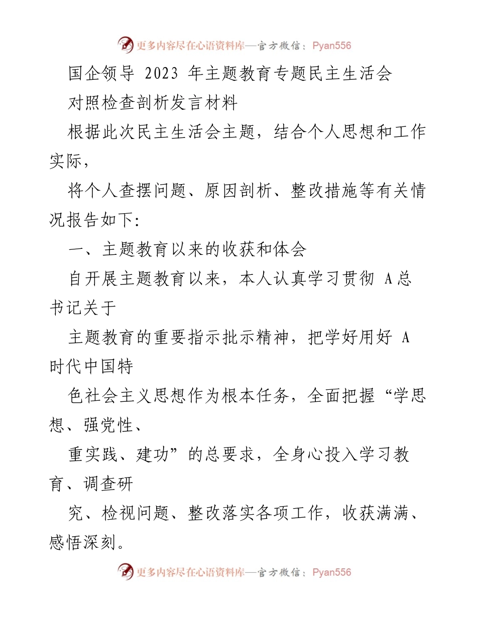 [发言材料] 主题教育专题民主生活会 - 深化理论学习与自我剖析的反思与整改措施.docx_第1页