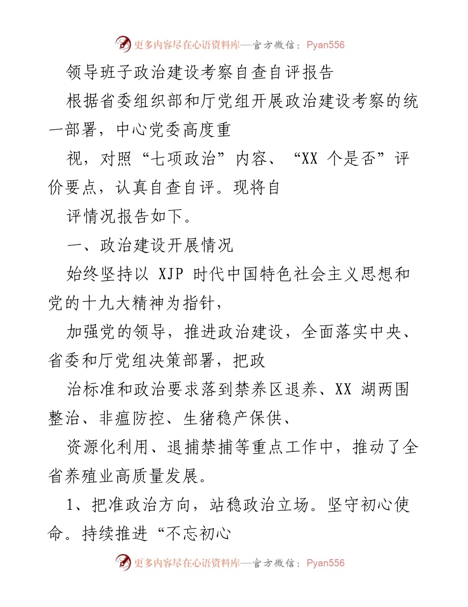 [发言] 领导班子政治建设考察 - 政治建设自查自评报告总结.docx_第1页