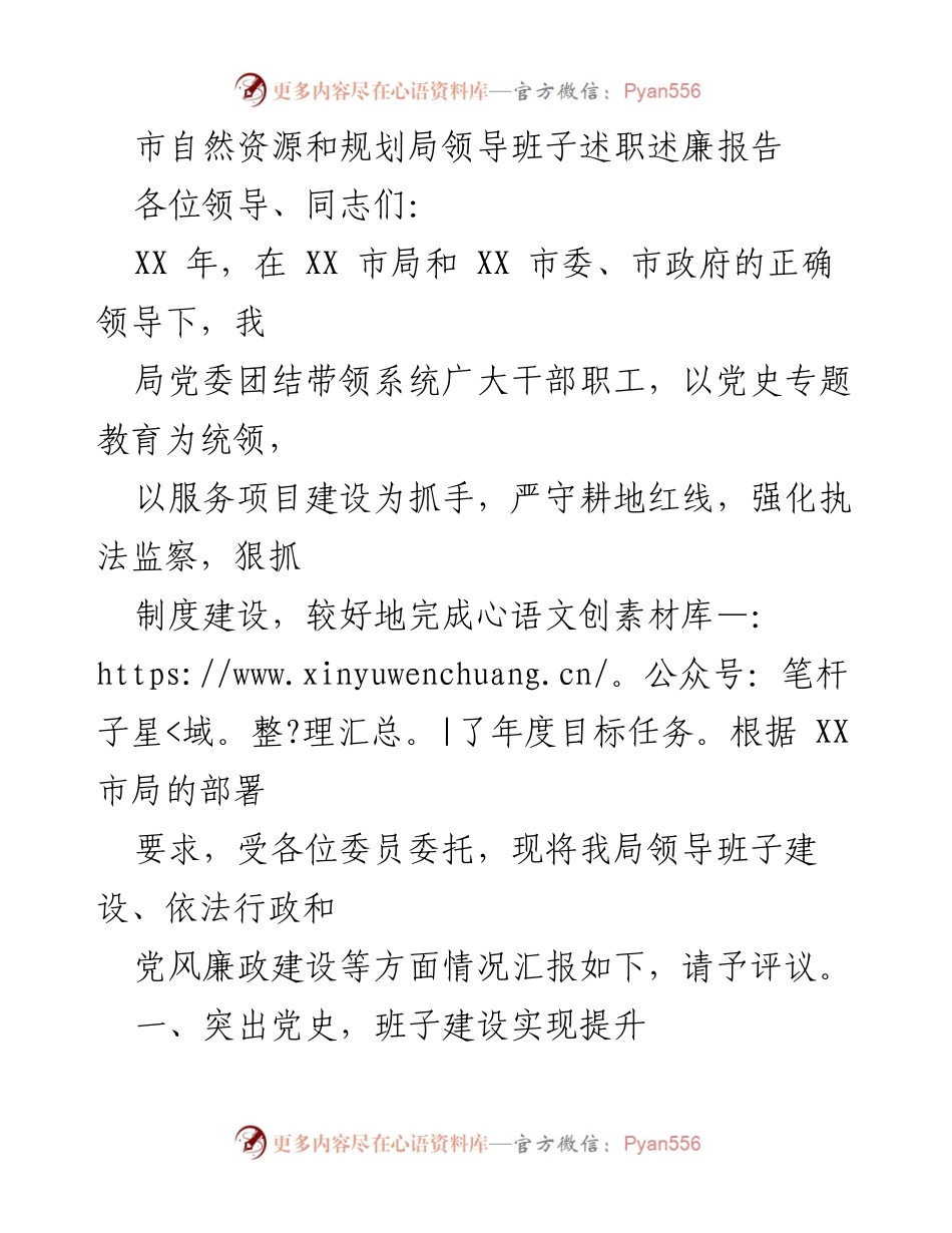 [发言] 领导班子述职 - 市自然资源和规划局领导班子述职述廉报告.docx_第1页