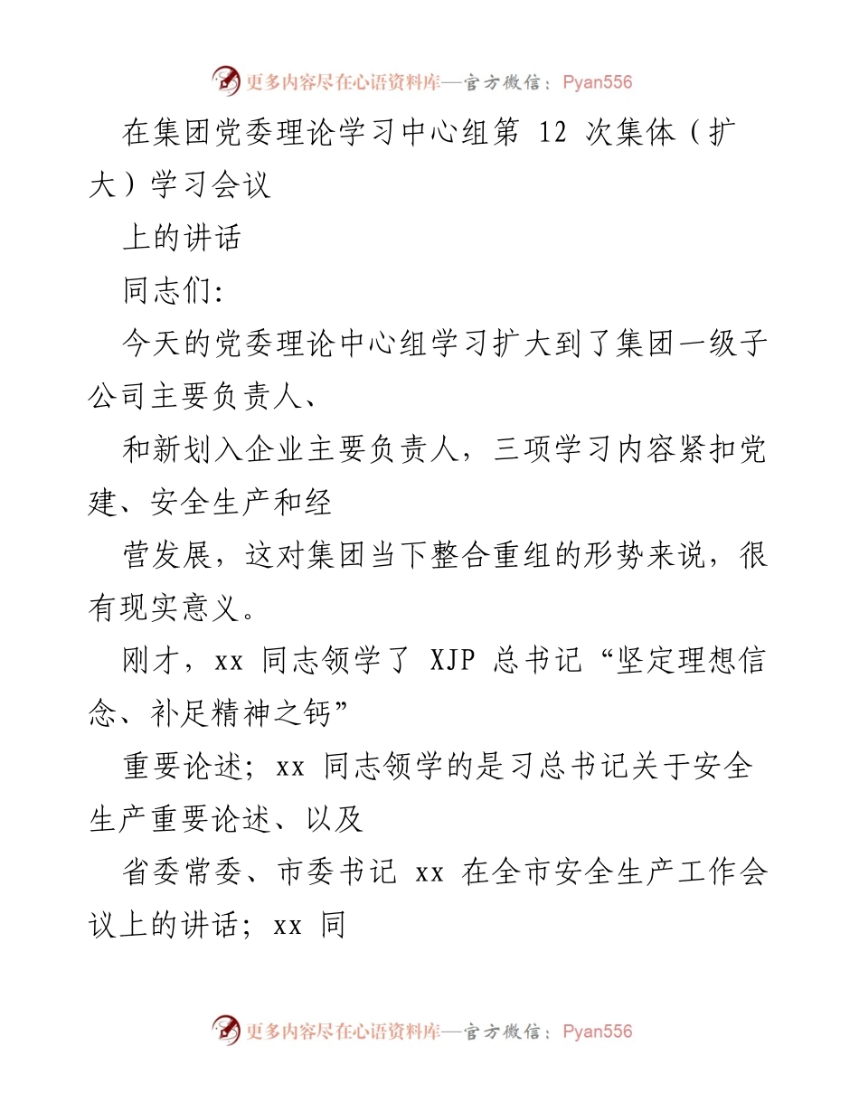 [发言] 集团党委理论学习中心组会议 - 坚定理想信念，推动高质量发展.docx_第1页