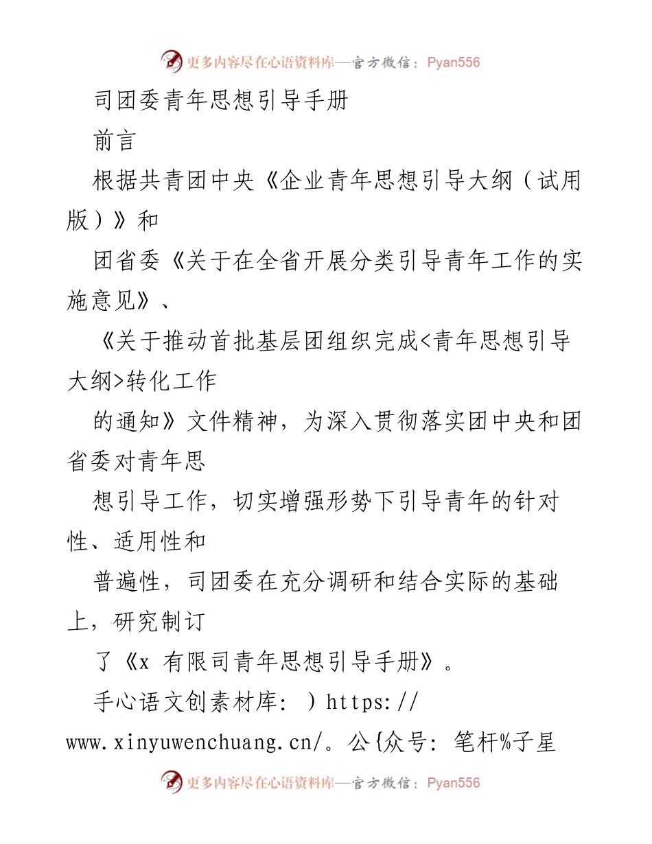 [发言] 青年思想引导工作 - 司团委青年思想引导手册解读与实施建议.docx_第1页