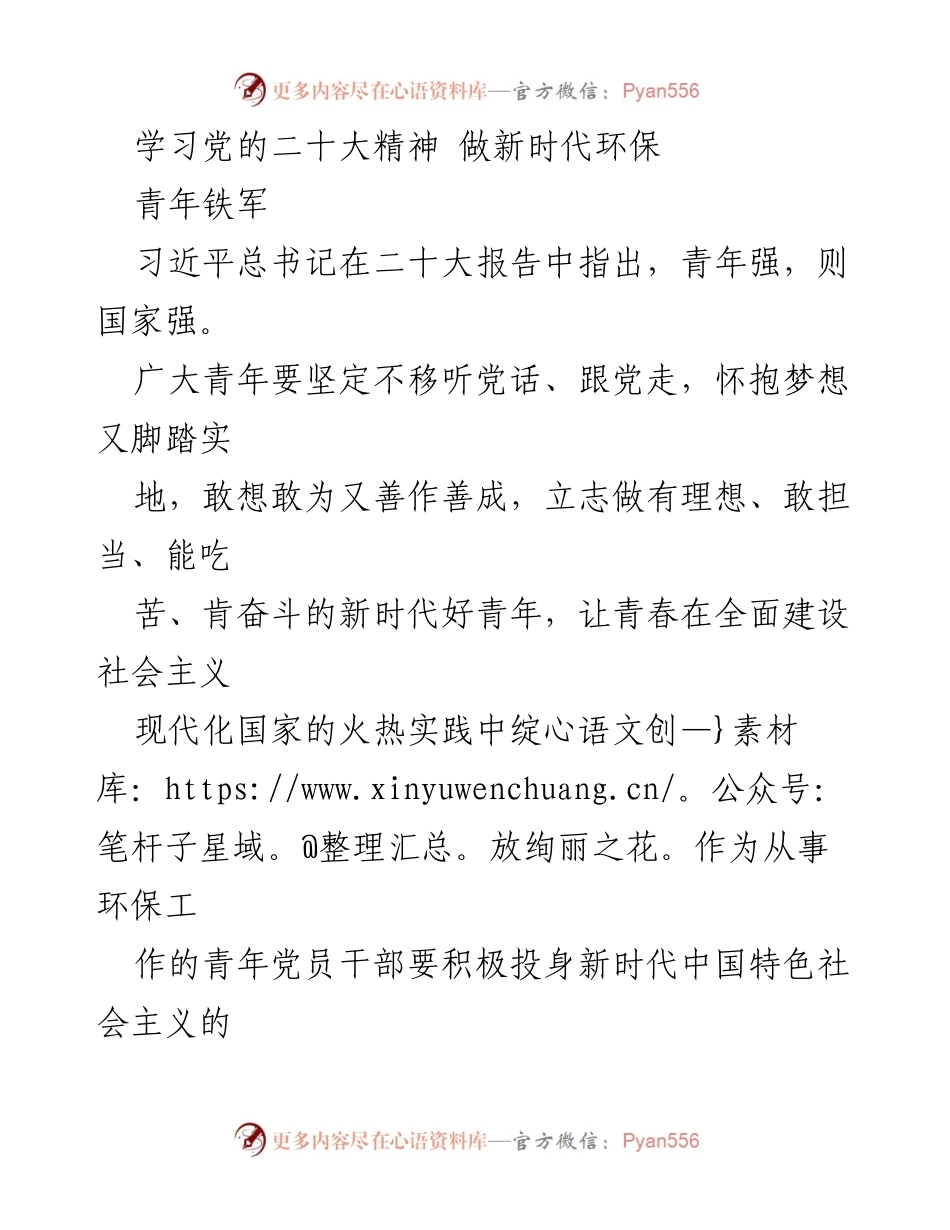 [发言] 青年环保工作会议 - 学习党的二十大精神，践行新时代环保使命.docx_第1页