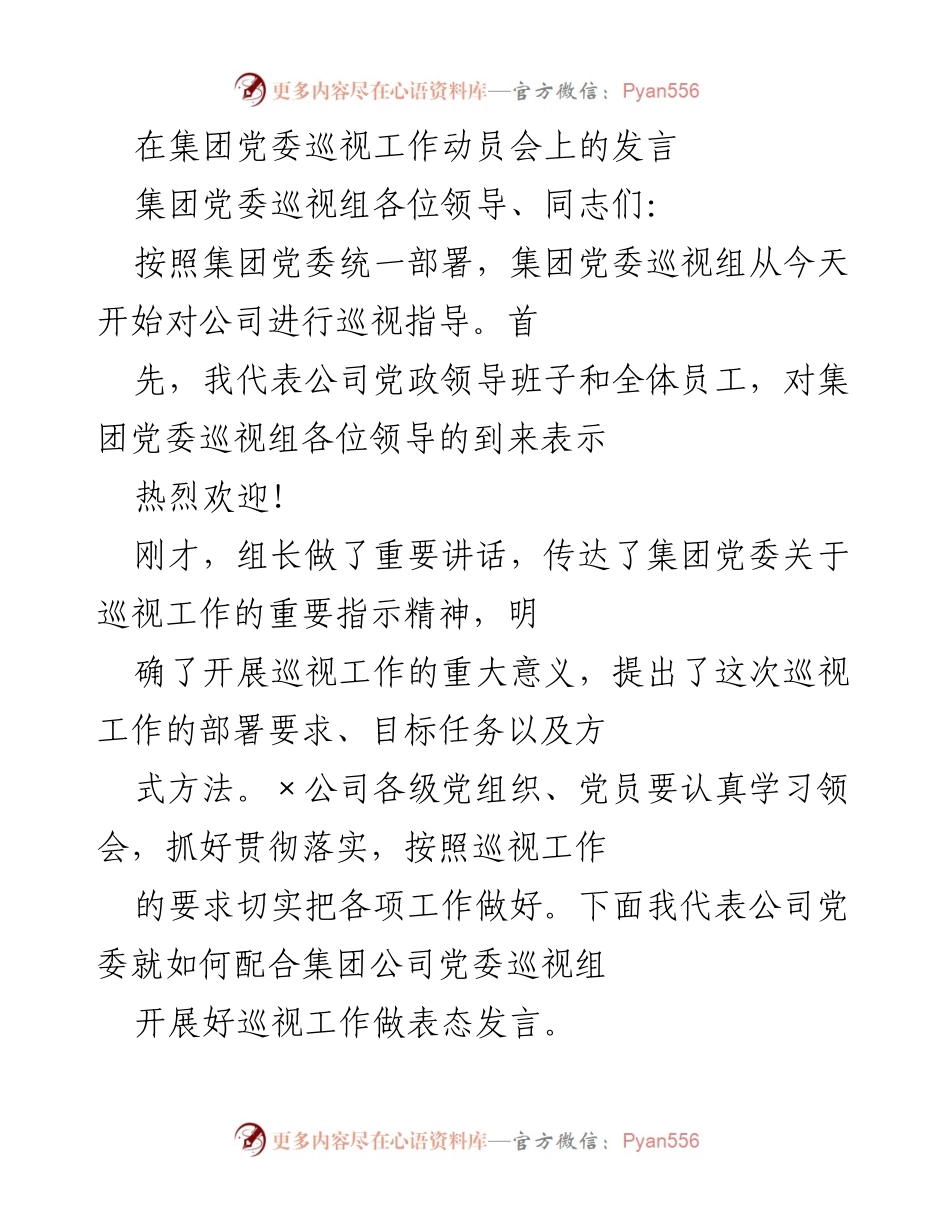 [发言] 集团党委巡视工作动员会 - 加强政治责任，积极配合集团巡视工作.docx_第1页
