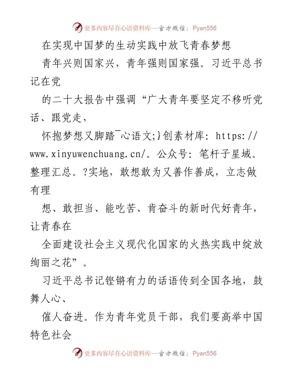 [发言] 青年干部大会 - 在实现中国梦的生动实践中放飞青春梦想.docx_第1页