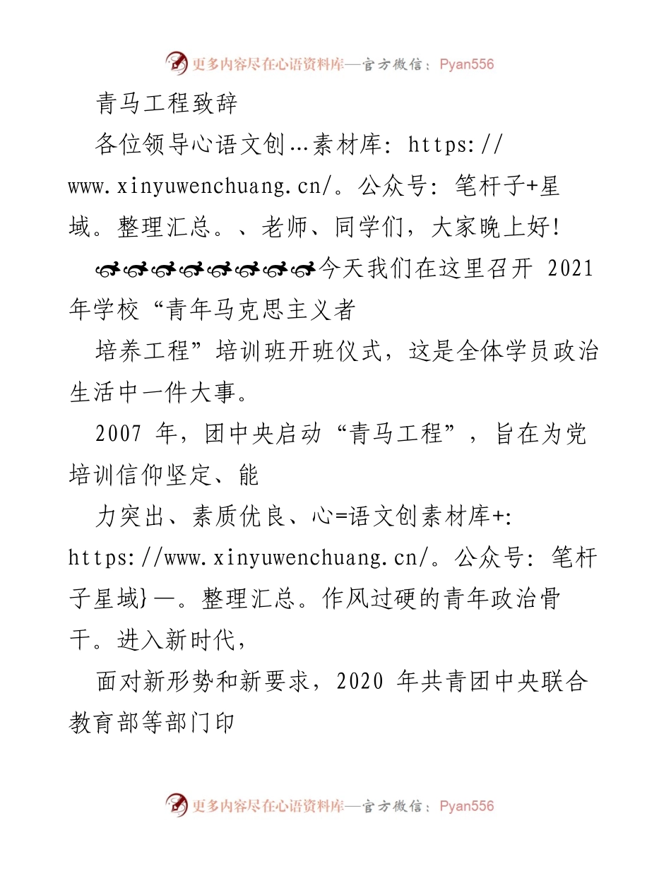 [发言] 青年马克思主义者培养工程开班仪式 - 青年力量：奋进新时代的使命与担当.docx_第1页