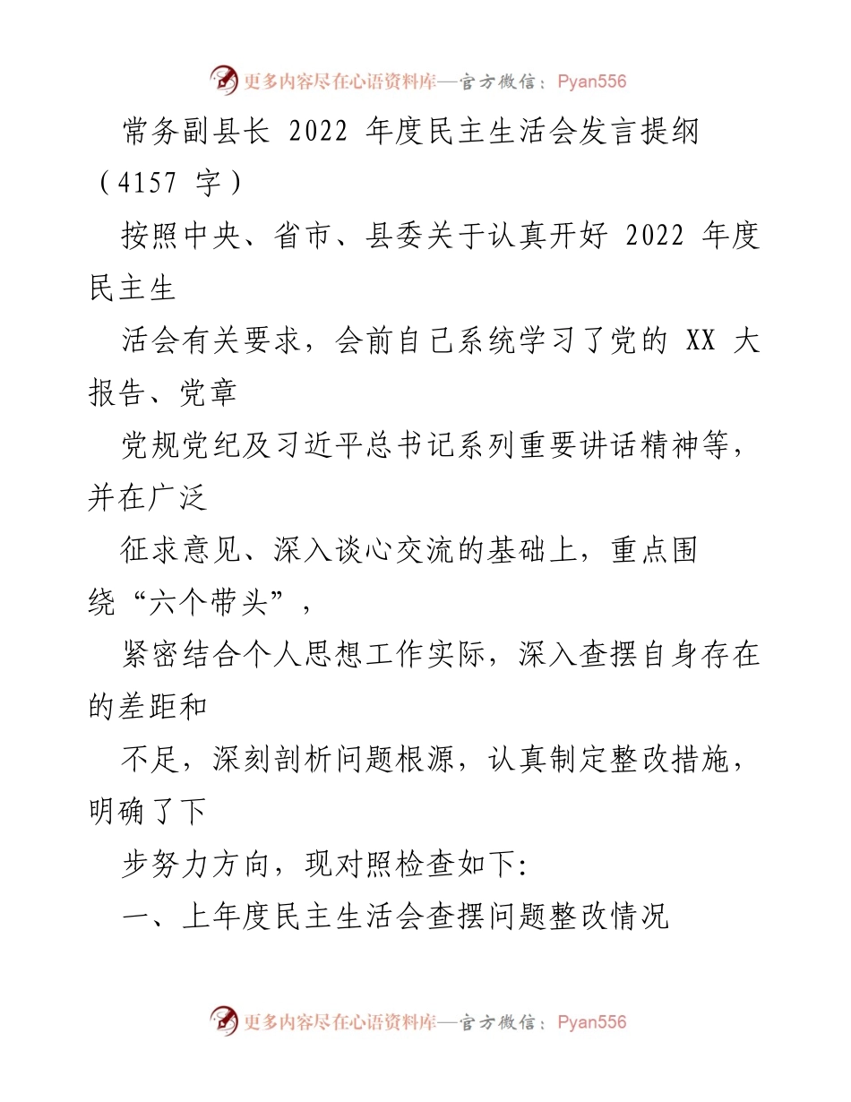 [发言提纲] 2022年度民主生活会 - 常务副县长发言提纲分析与整改措施.docx_第1页