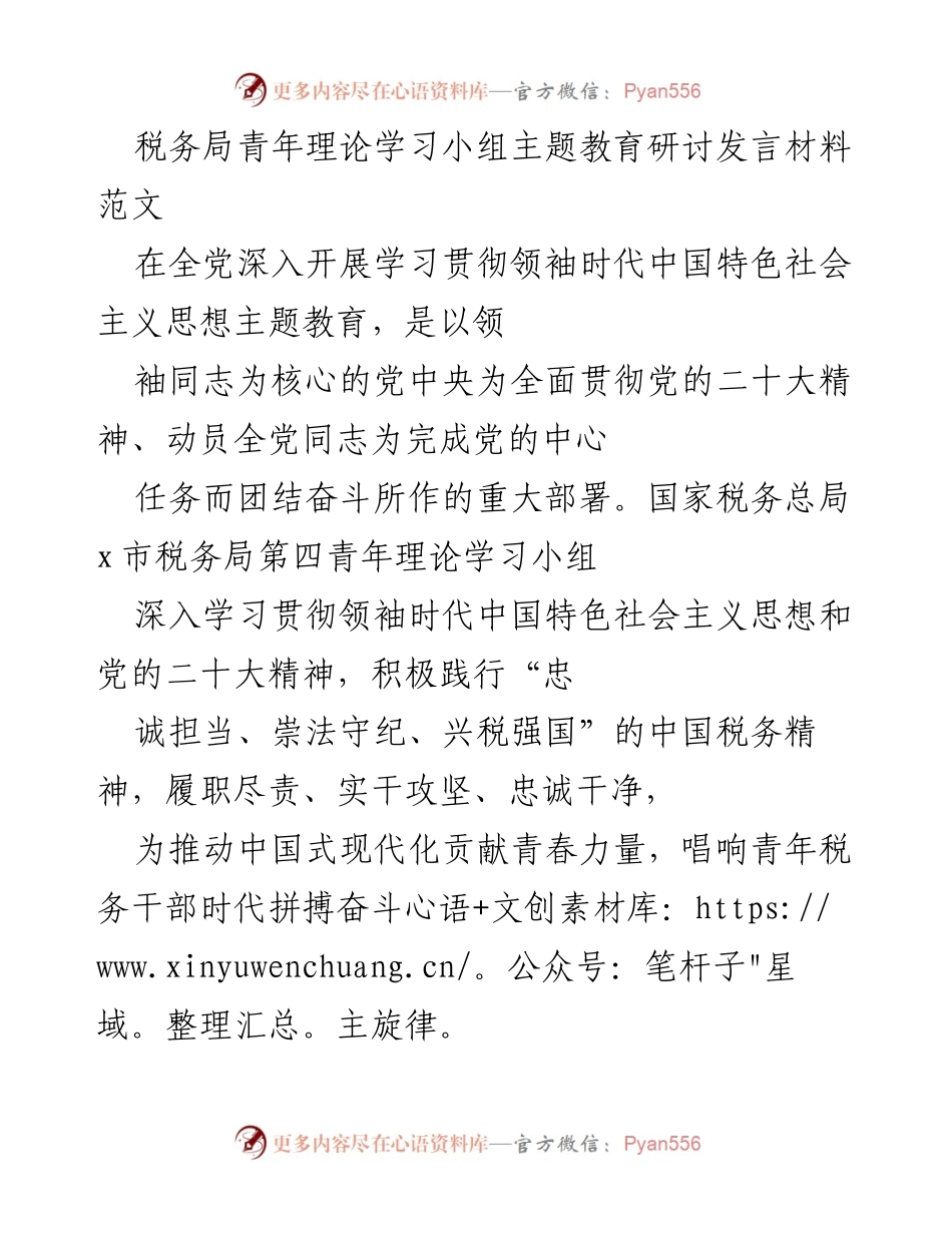 [发言] 青年理论学习小组 - 深入学习领袖思想，践行税务担当.docx_第1页