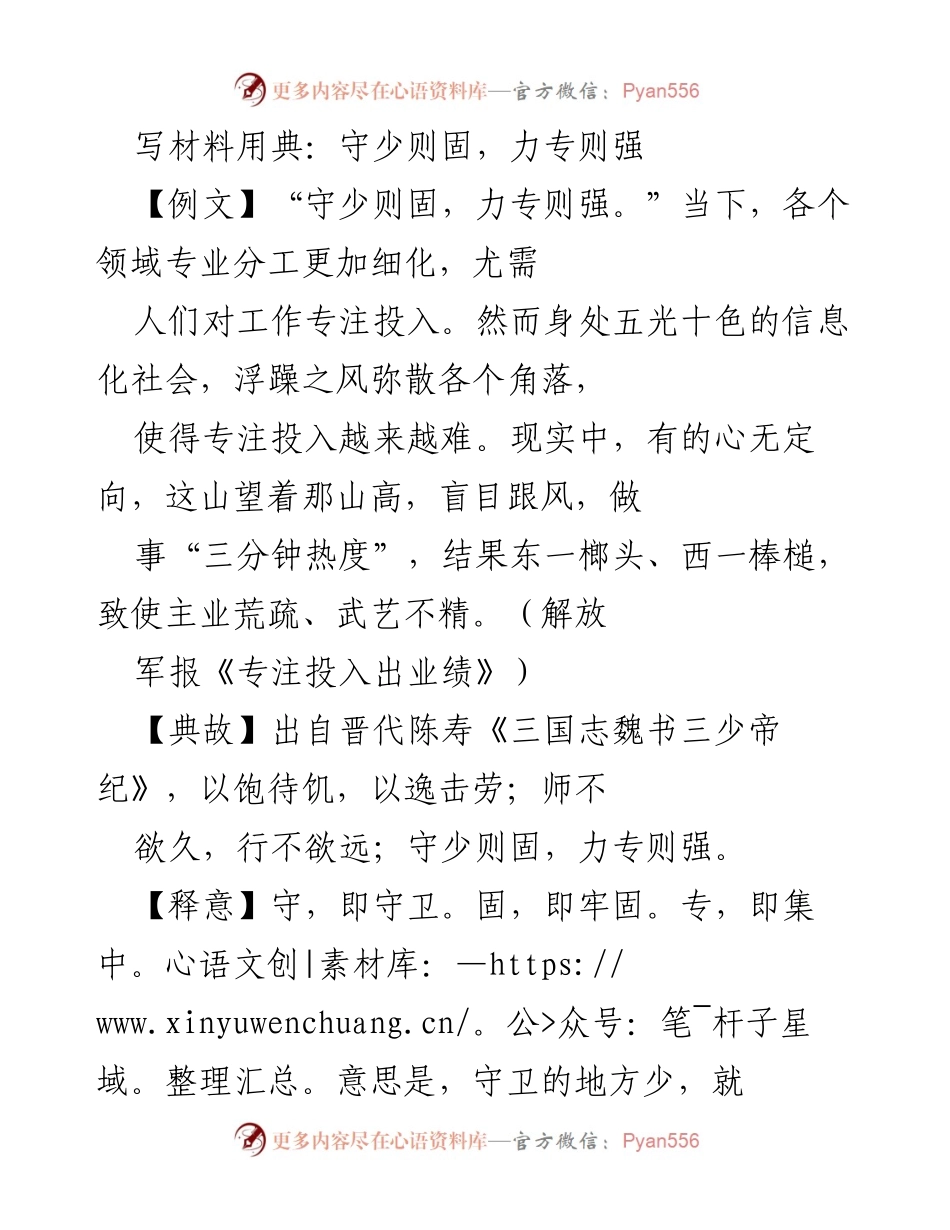 [发言] 领导讲话 - 专注投入，成就卓越：守少则固，力专则强.docx_第1页