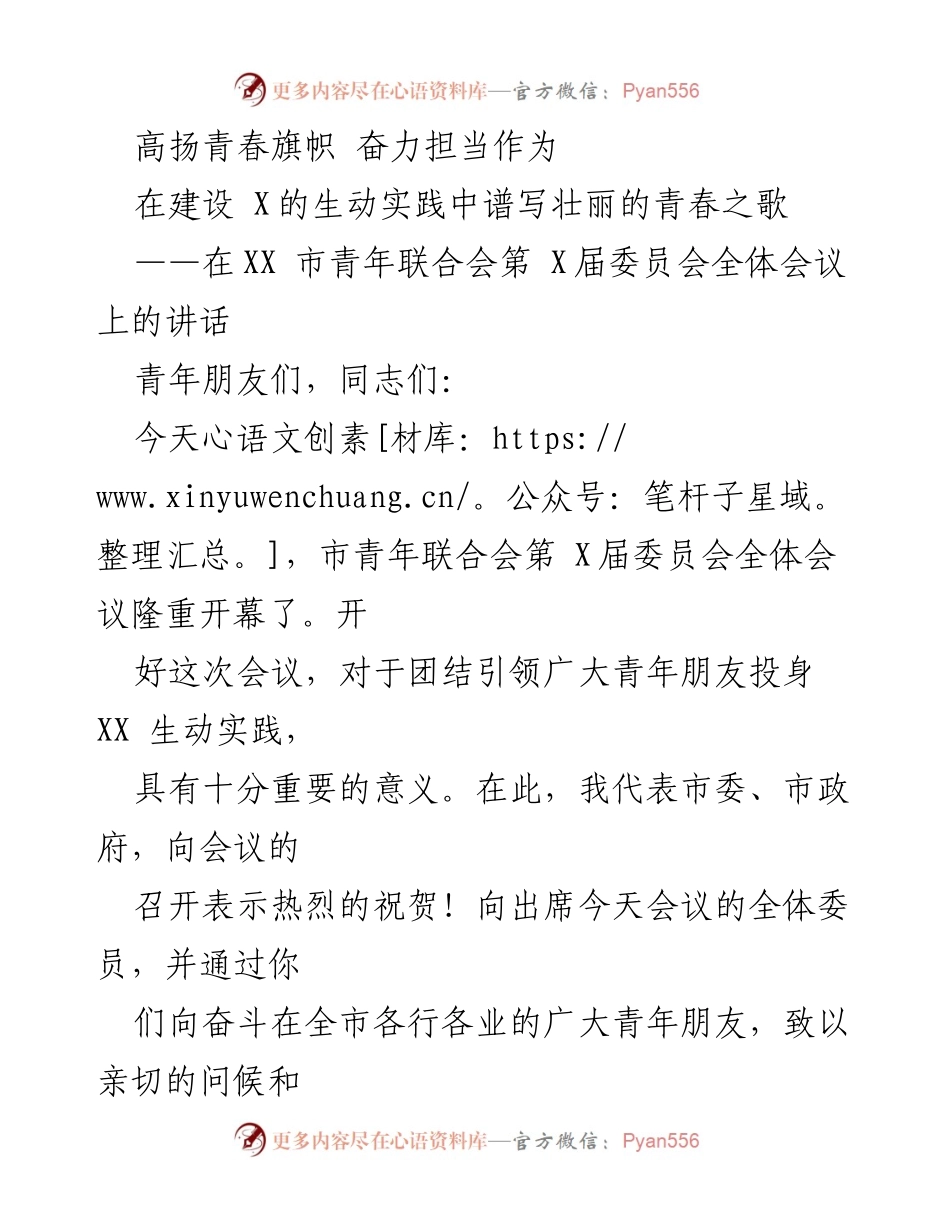 [发言] 青年联合会全体会议 - 高扬青春旗帜，奋力担当历史使命.docx_第1页