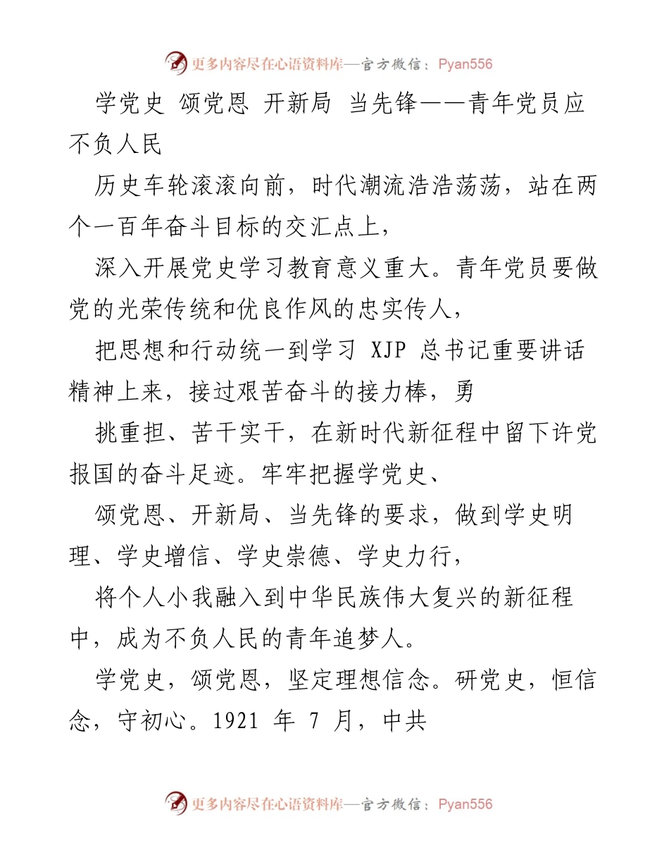 [发言] 青年党员大会 - 青年党员：不负人民的责任与使命.docx_第1页