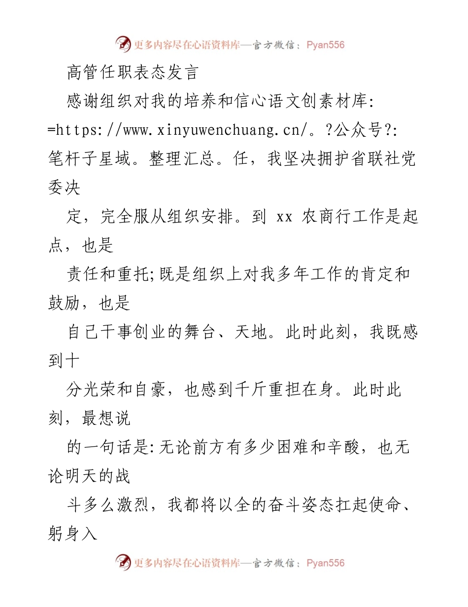 [发言] 高管任职表态 - 坚守使命、勇担责任：我的任职宣言.docx_第1页