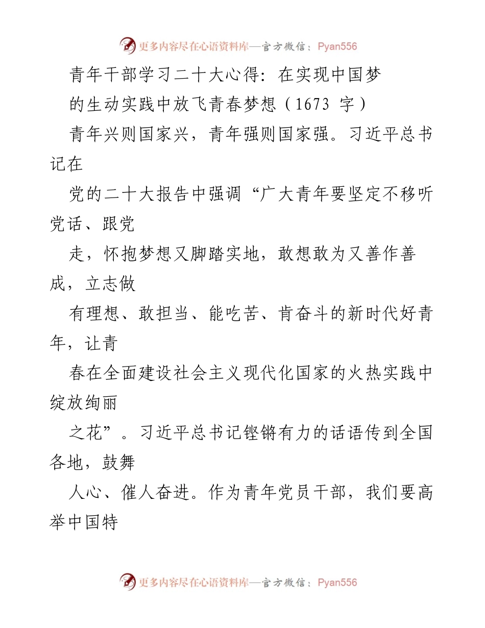 [发言] 青年干部学习会 - 青年干部在实现中国梦中的责任与使命.docx_第1页