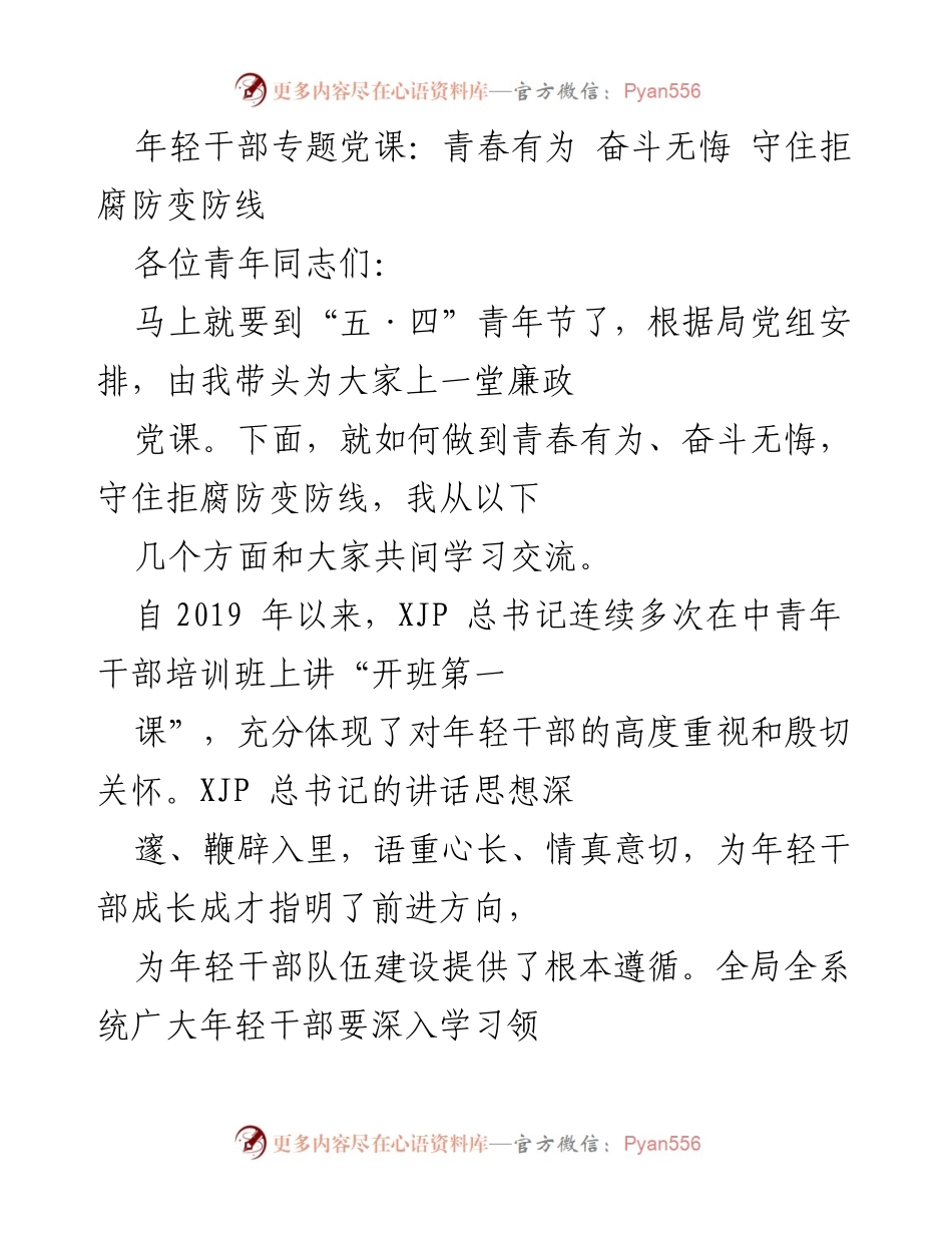 [发言] 青年干部专题党课 - 青春有为，奋斗无悔：筑牢年轻干部的理想信念与防腐防变意识.docx_第1页