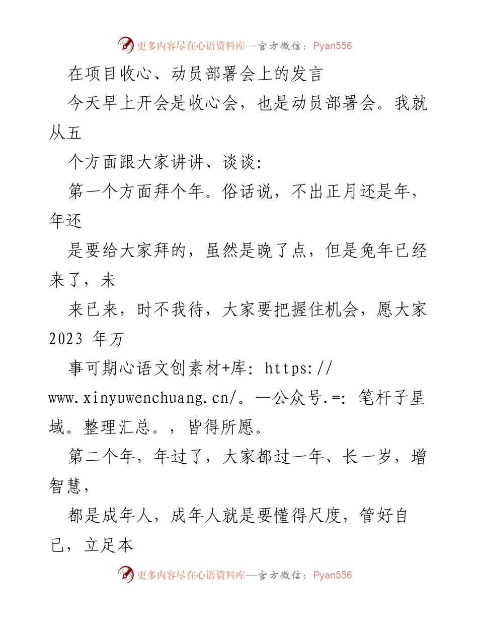 [发言] 项目收心、动员部署会 - 把握机会，奋发向上：兔年动员部署发言.docx_第1页