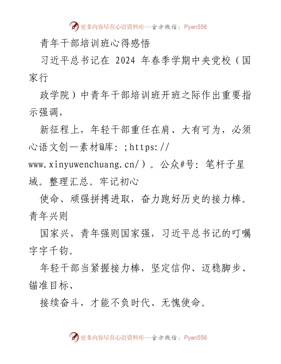 [发言] 青年干部培训班 - 青年干部的使命与担当_4.docx_第1页