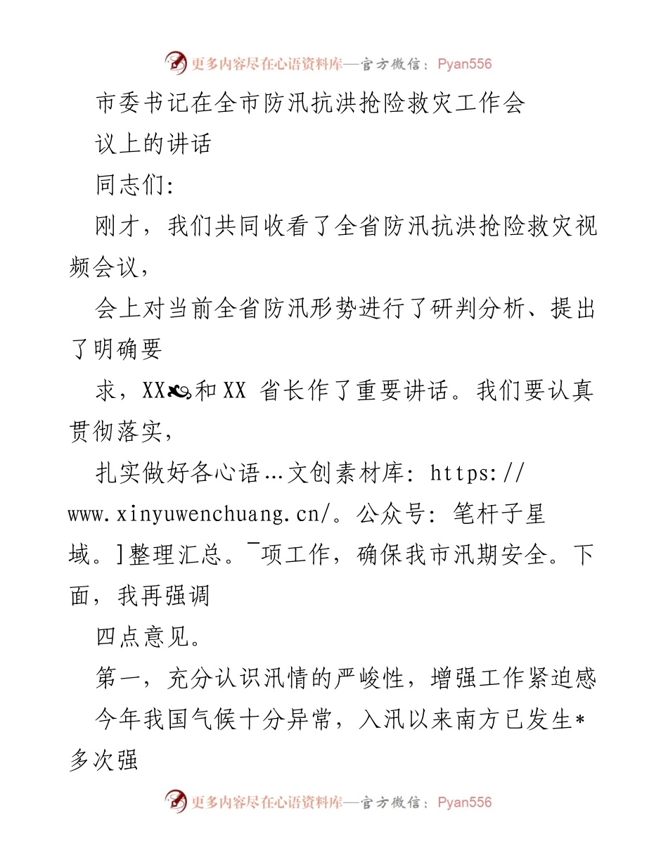 [发言] 防汛抗洪抢险救灾工作会议 - 市委书记讲话强调防汛工作的重要性与责任落实.docx_第1页