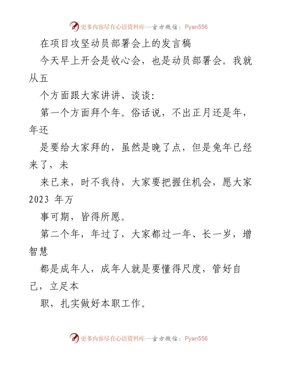 [发言] 项目攻坚动员部署会 - 兔年动员：自律与责任共筑项目成功.docx_第1页
