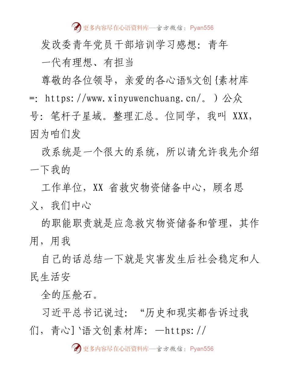 [发言] 青年党员干部培训 - 青年有理想有担当，助力中国式现代化.docx_第1页