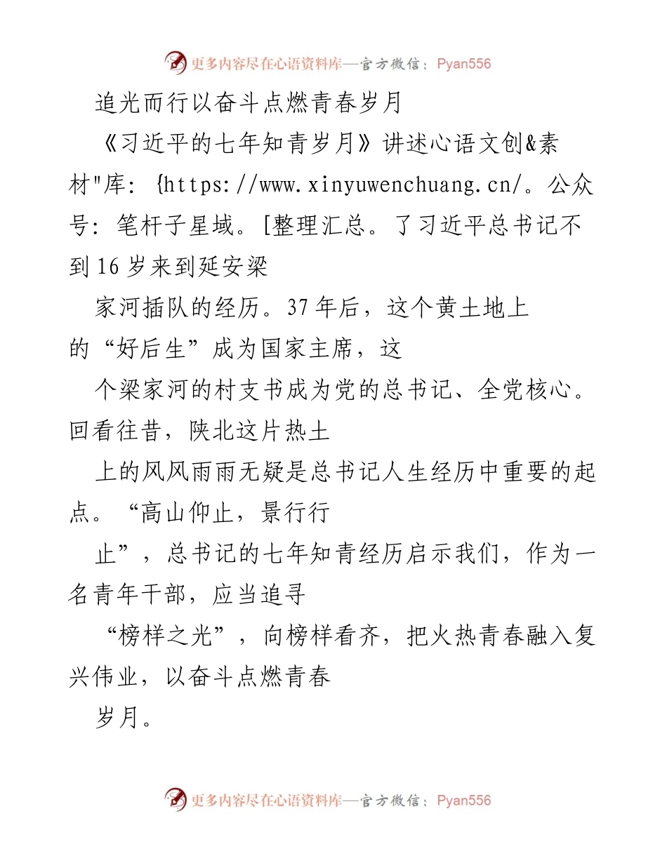 [发言] 青年干部学习交流会 - 追光而行：以奋斗点燃青春岁月.docx_第1页
