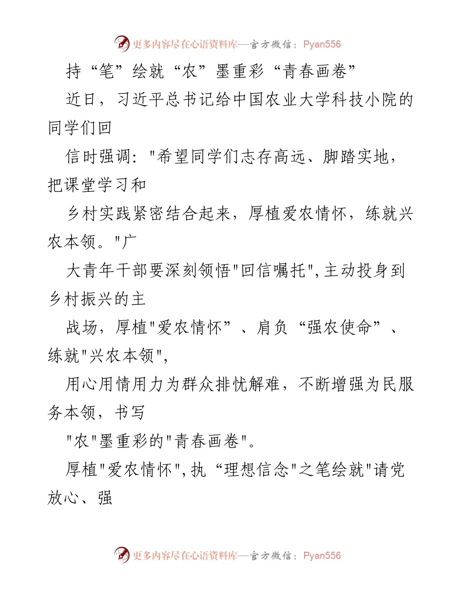 [发言] 青年干部动员大会 - 执笔乡村振兴，书写青春担当.docx_第1页