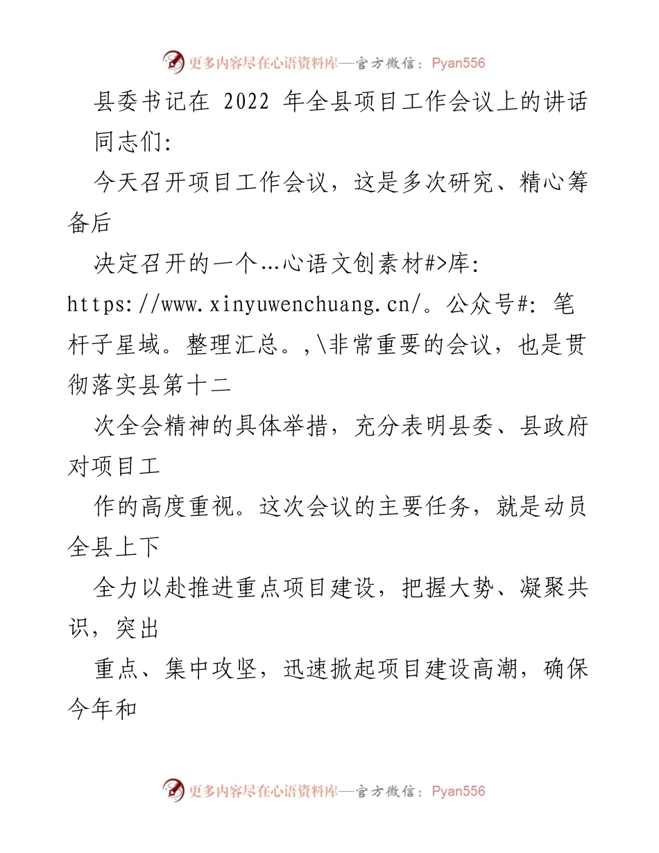[发言] 项目工作会议 - 强调项目建设的重要性，推进经济社会发展.docx_第1页