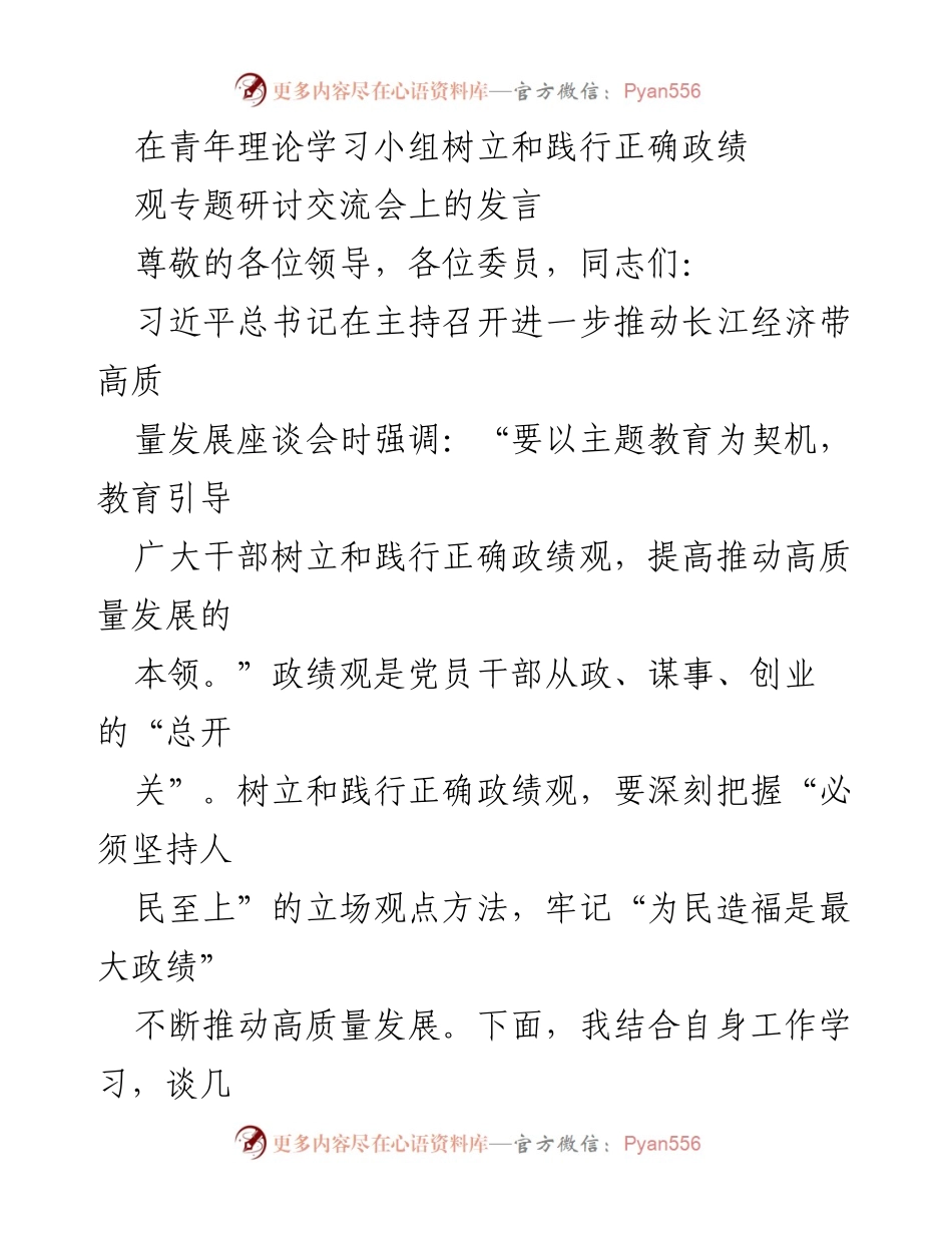 [发言] 青年理论学习小组专题研讨交流会 - 树立和践行正确政绩观的重要性与实践建议.docx_第1页