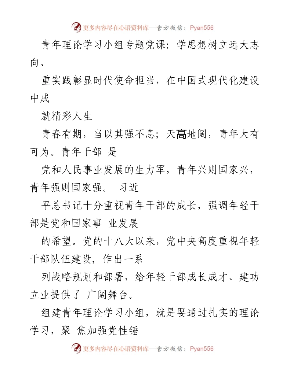 [发言] 青年理论学习小组专题党课 - 青年干部的使命担当与理想信念.docx_第1页