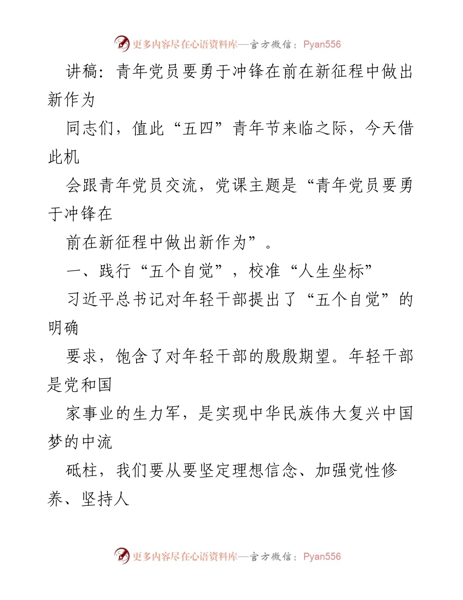 [发言] 青年党员主题党课 - 青年党员在新征程中勇于担当的使命与责任.docx_第1页
