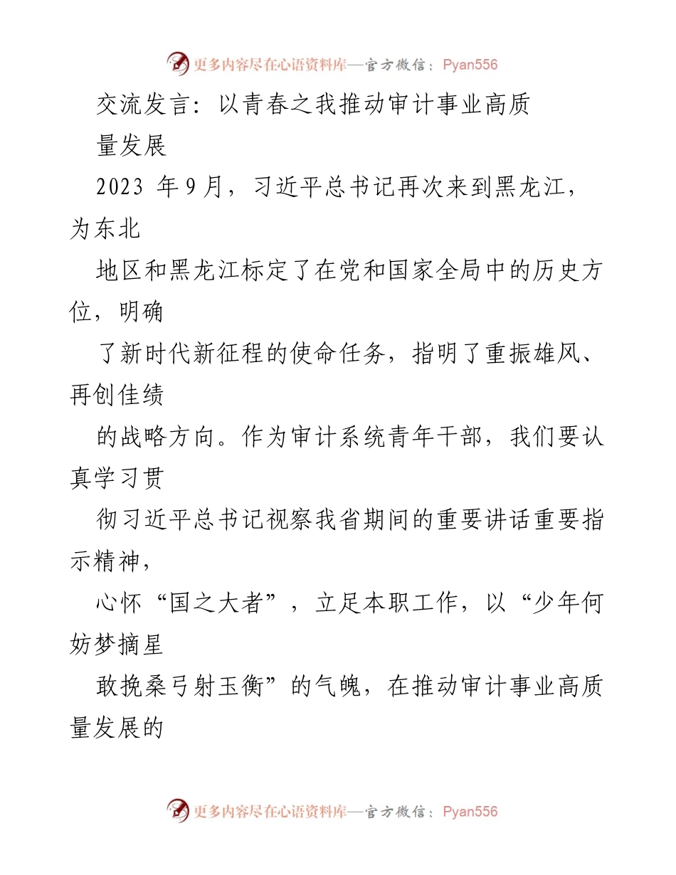 [发言] 青年干部交流会 - 以青春之我推动审计事业高质量发展_1.docx_第1页