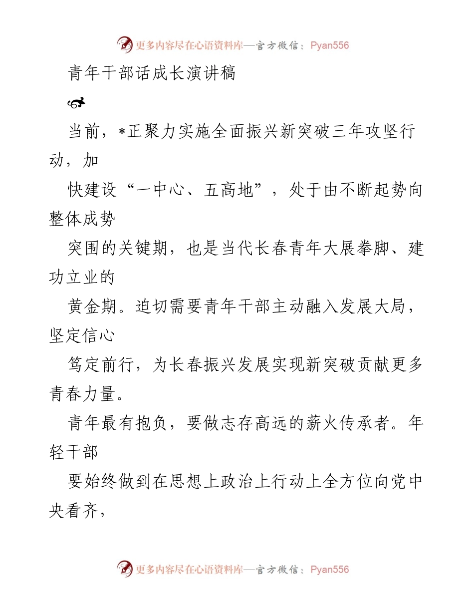 [发言] 青年干部成长分享会 - 青年干部：勇担使命，助力长春振兴新突破.docx_第1页