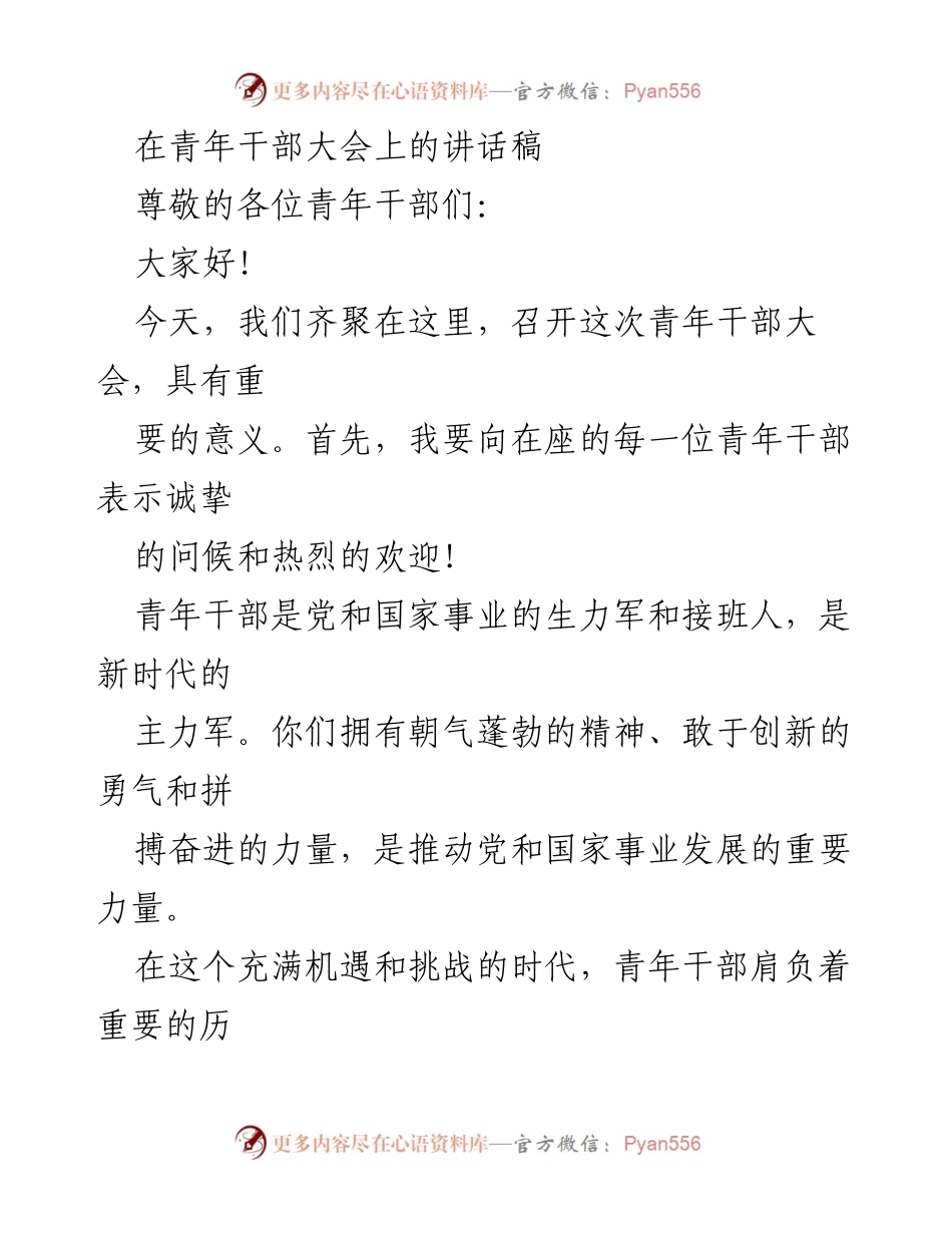 [发言] 青年干部大会 - 青年干部的使命与担当.docx_第1页