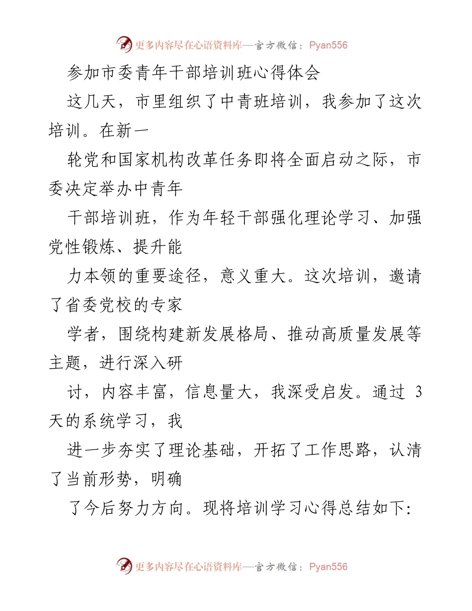 [发言] 青年干部培训班 - 深化理论学习，提升年轻干部能力的心得体会.docx_第1页