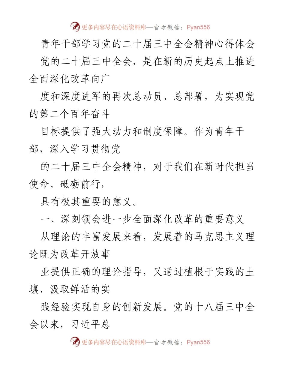 [发言] 青年干部学习会 - 深入理解党的二十届三中全会精神的重要性.docx_第1页