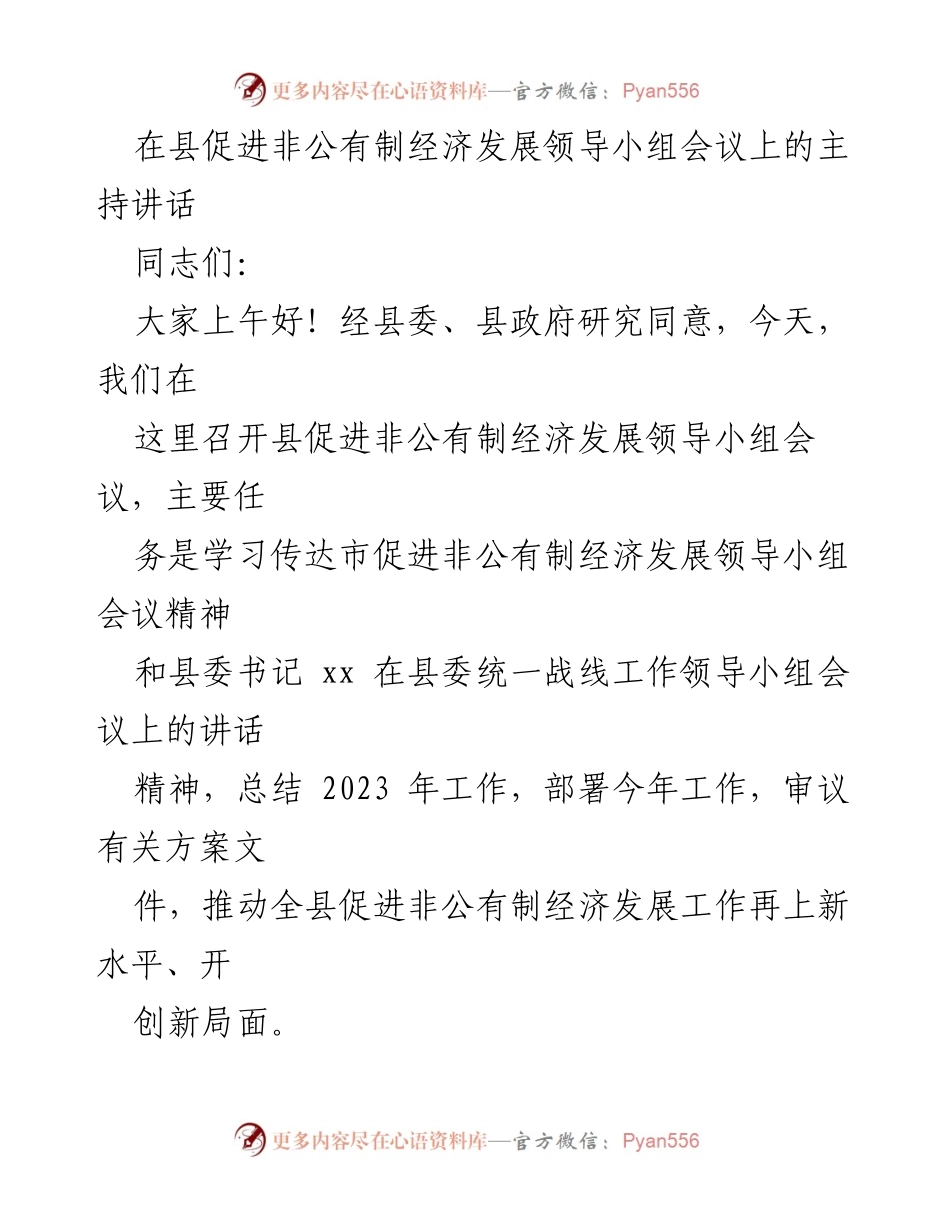 [发言] 领导小组会议 - 加快非公有制经济发展，推动新局面.docx_第1页